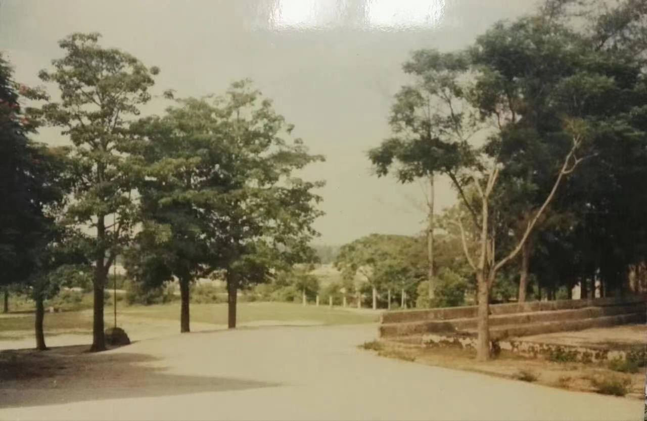 饶平二中.jpg