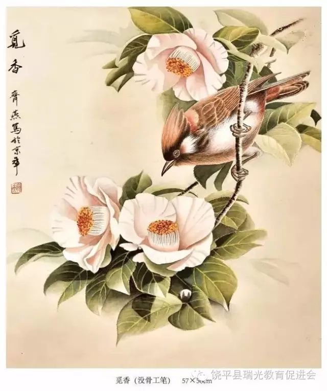 mmexport64569b46f49ec2a1185a8d183f1e6ccb_1702037040833.jpeg